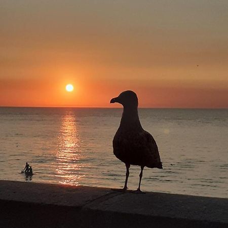 Camping Les Falaises De Toussaint 外观 照片