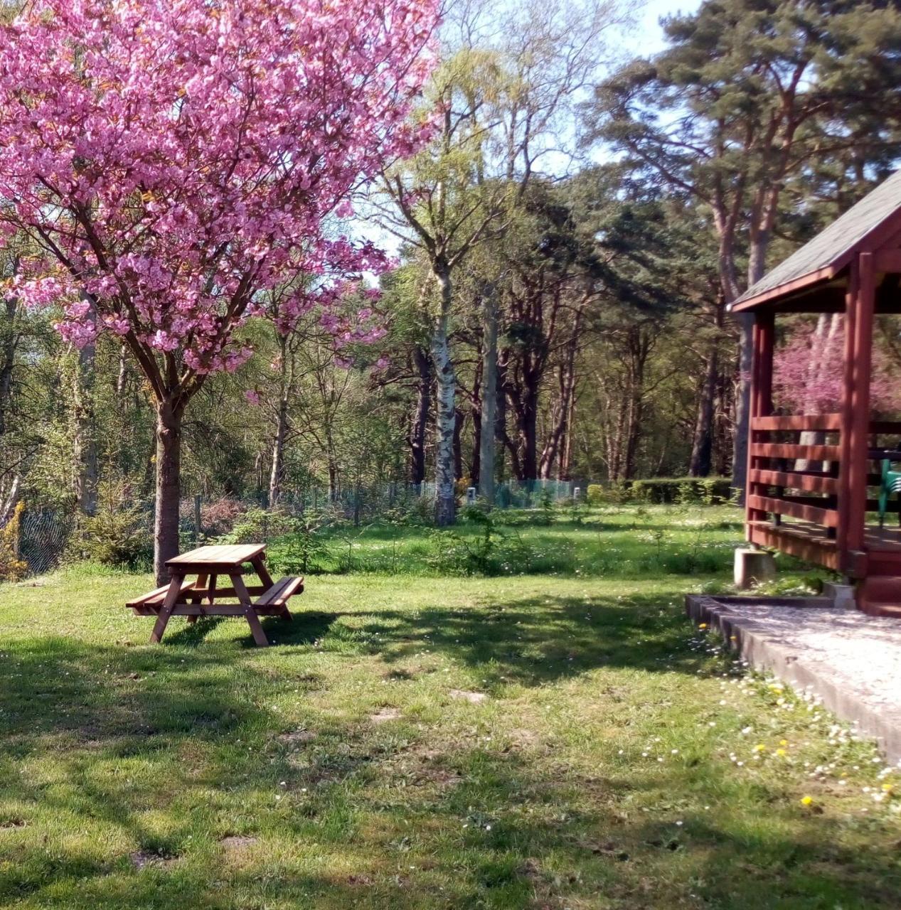 Camping Les Falaises De Toussaint 外观 照片